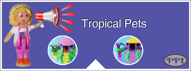Polly Pocket Time